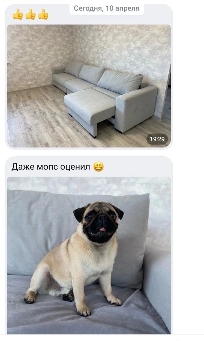 Отзыв клиента 17